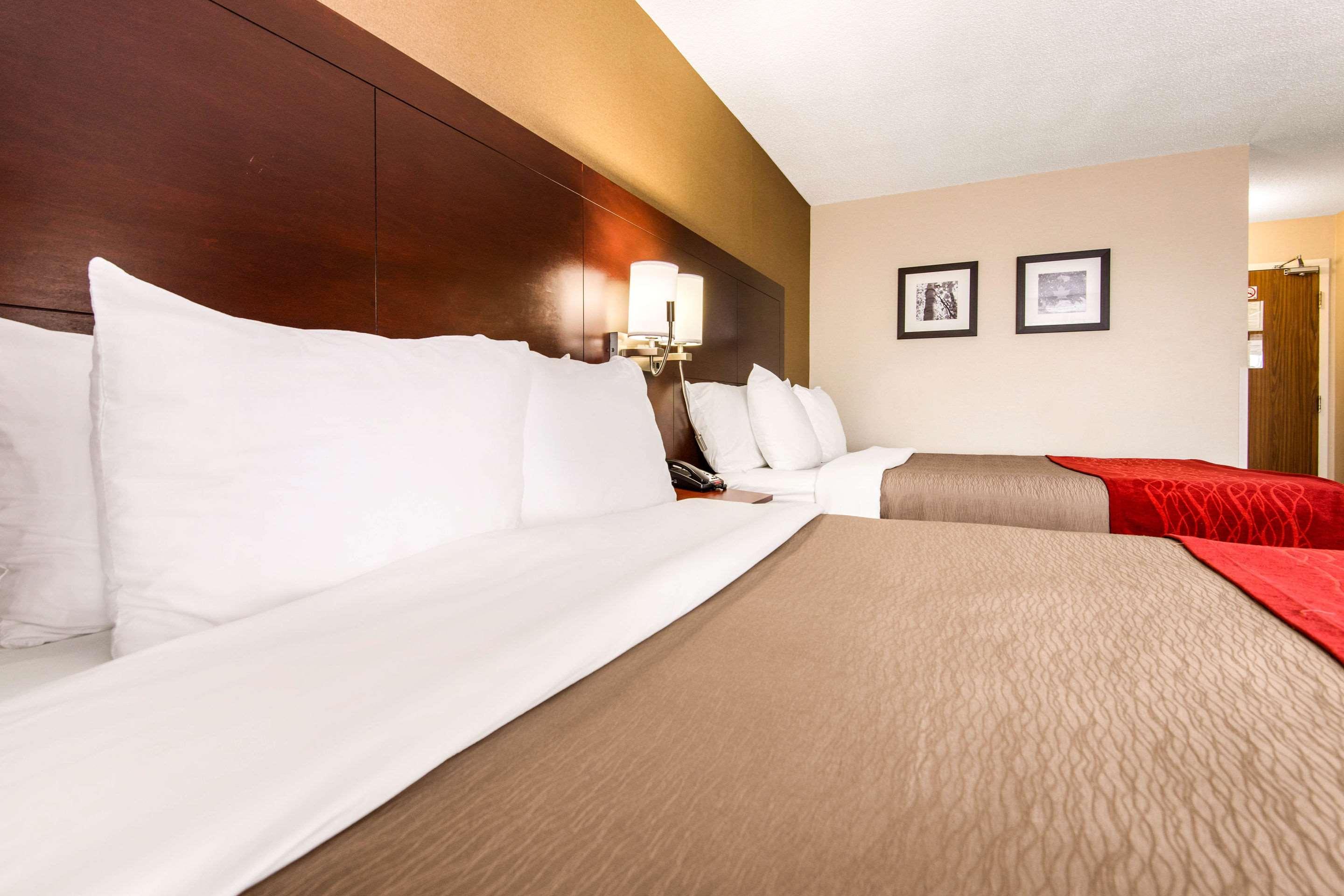 Comfort Inn Airport West Mississauga Extérieur photo