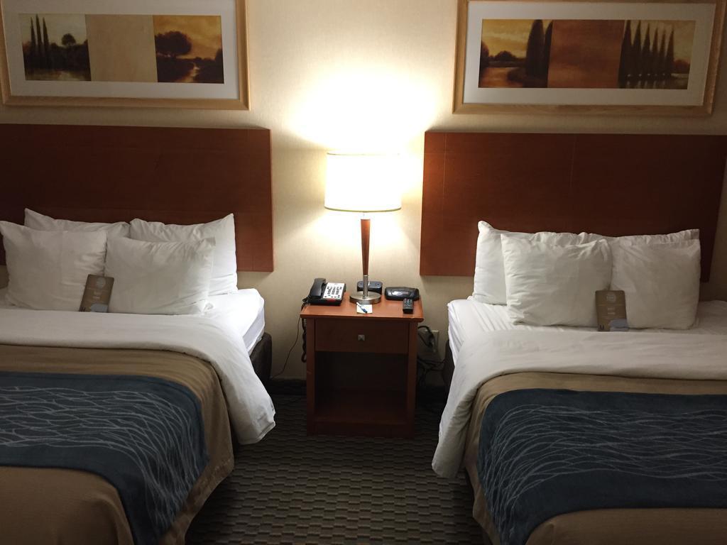 Comfort Inn Airport West Mississauga Extérieur photo